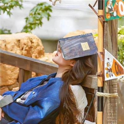 西环的故事